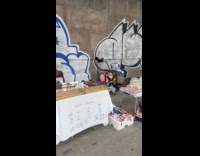 Chicken at shopping cart on the street