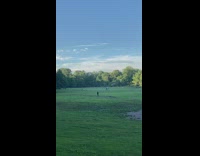 Guy in black practices tai chi alone at park