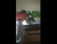 Mom wears fancy red hat horse television 