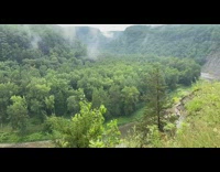 White steam clouds green trees rain river 