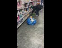 Thief steals items and stuffs them into big ikea bag 