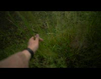 Guy surprised when brown alpaca open its mouth