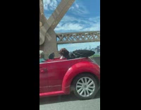 Brown Dog Rides in Car with Roof Down 