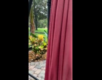 Crane does mate dance to another bird