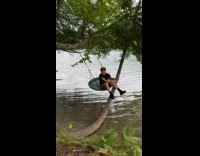 Guy fell from swing tries climbing tree