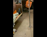 Collab Subway Creatures - People try to avoid rat inside train