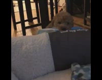 When you do not want to get out of bed to use the bathroom 