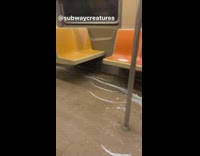 Milk spilled on floor and train orange seats