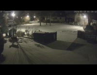Deer wanders on the backyard snow covered