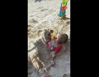 Little kid red shirt beach sand