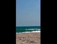 Pod of dolphins swim show at beach