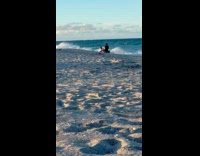 Man roll around shore for beach video
