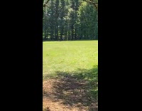 Guy lands frisbee in disc golf 
