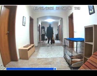 Woman holds vacuum spider crawls back inside