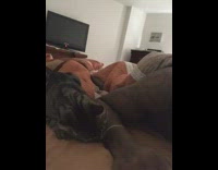 Cat pulls rubber band on guy arm lets go