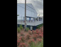 Young boy does renegade dance in garden