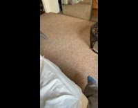 Grey cat stands up jumps around green grape 