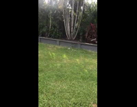 Boy throws water bottle on the wall