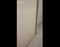 Group of guys inside of bathroom stall clash of clans