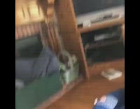 Girl finds lizard inside of pot in house