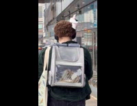Guy walks with pet bird on head