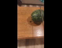 Man split watermelon in half use short sword