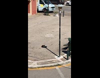 Cat sitting on the shade of the street lamp