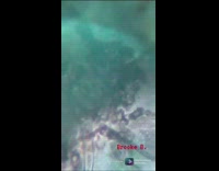 Mosquito Larva underneath the microscope shows heartbeat