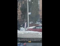 Lady uses plastic lid to shovel snow 