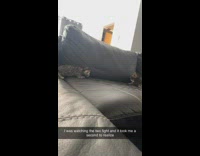 Two cats fight as other pees on couch 