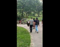 Man hold mannequin head with thick hair