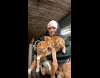 Girl with armful of cats and one kitten 