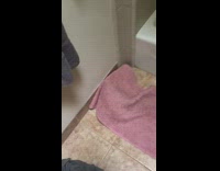 Cat hides under pink bath mat