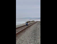 Lady sits on train tracks