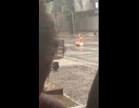 Couple in beach wear poses rainy street Part 1