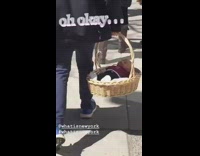 Guy walks down sidewalk holding basket with baby doll inside