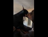 Dogs fighting over sharing bed 