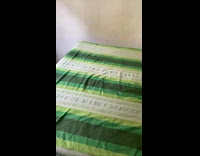 Bedsheet and bedroom plant have same color