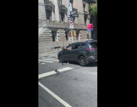 Guy in grey SUV car feeds pigeons 
