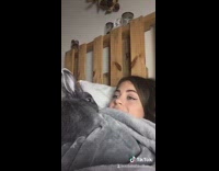 Collab BSMedia - Grey bunny rabbit moves head dances back