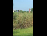 Blonde Woman purple swimsuit pose on grass