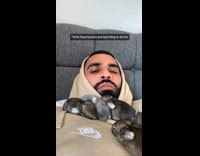 Collab AnimalIG - Baby bunnies on top of the chest of the man on the bed