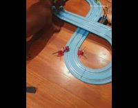 Dog chases toy car on race track