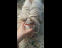 Girl let rabbit drink tea from mug