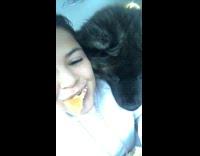 black dog bites girls burger in front seat