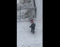 Girl films herself dancing dog tied up 