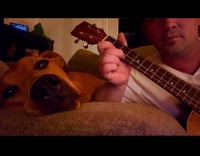 Collab Clips MPUGC - Man sings to his dog to sleep