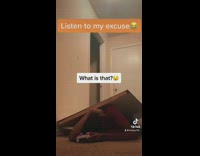 Door falls down on guys back while he plays 