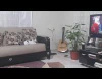 Cat on sofa watch tv soccer box