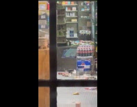 Collab winy - Rats roaming around inside deli store 